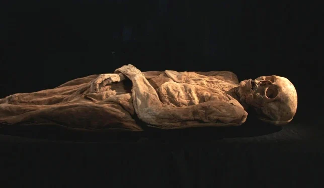 Mummified ancestor of Boris Johnson did not pass away from syphilis – Scientists