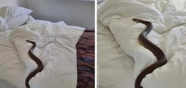 After Freshening Up To Come And Reach Cloud Nine, Man Meets His Death – Nakonde