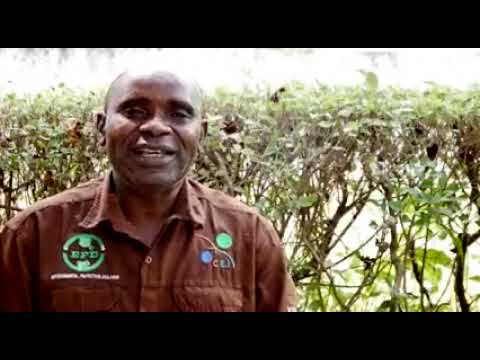 ENVIRONMENT EXPERTS REJECT GMO IMPORTATION MOVE