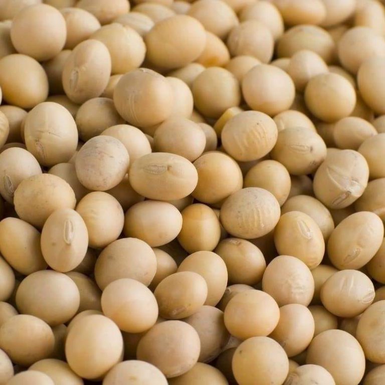 FRA Apologizes to SOYA Beans Farmers