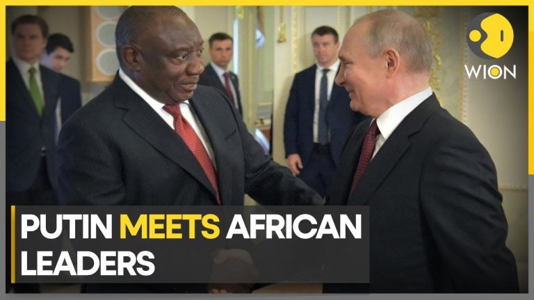 President Hichilema and Other African Leaders Meet Russian President Vladimir Putin