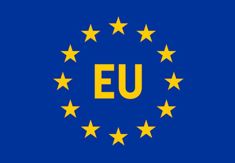 EU Preliminary Statement On Zim Polls