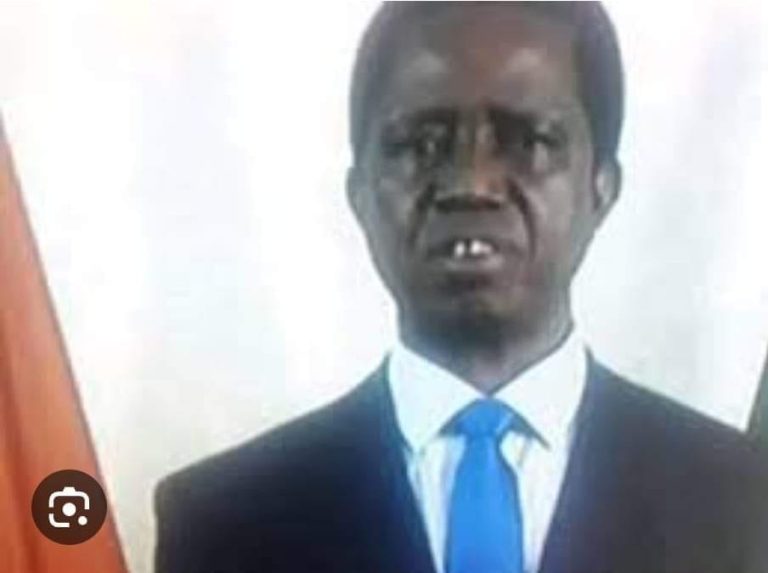 PF Borrowed More Than $6.5 Billion From China And Defaulted In 2020, And Abused Borrowed Money ; They Should Keep Quiet When Their Friends Are Clinching Meaningful Deals On Trade And Investment- Mark Simuuwe