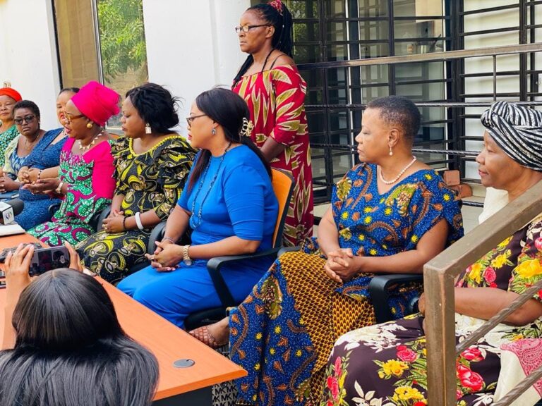 The Need for a New Women’s Movement: Lipstick Women and the Dissatisfaction with NGOCC