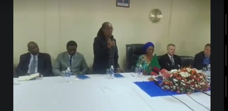 CZECH REPUBLIC HANDS OVER US$85,000 SPECIALIZED AMBULANCE TO UTH