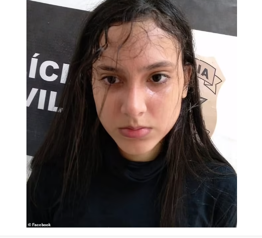 image_2024-12-20_231340568