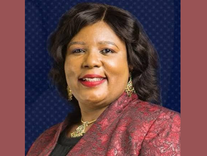 image_2025-01-29_010728360