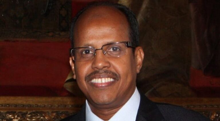 Youssouf Beats Raila Odinga To Become AU Commission Chairman
