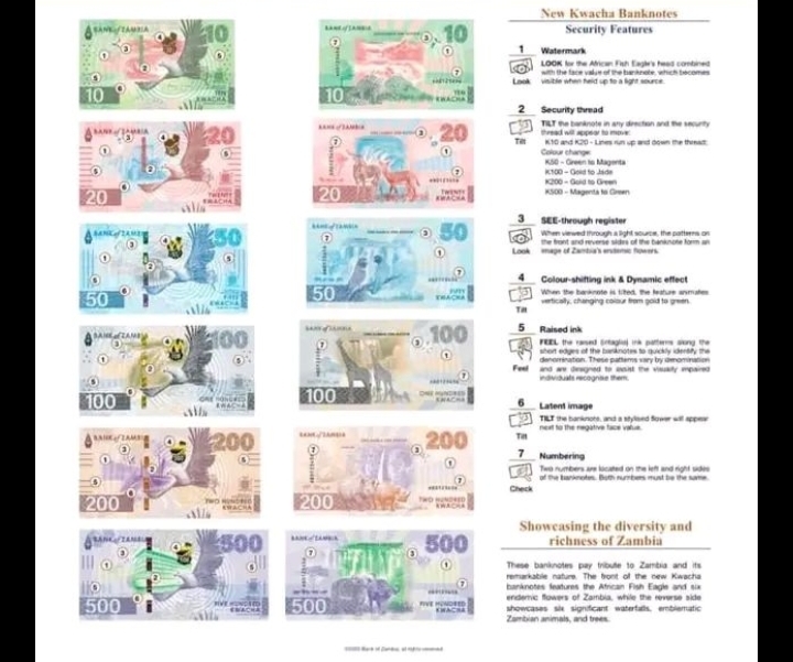 Screenshot_20250211-171623