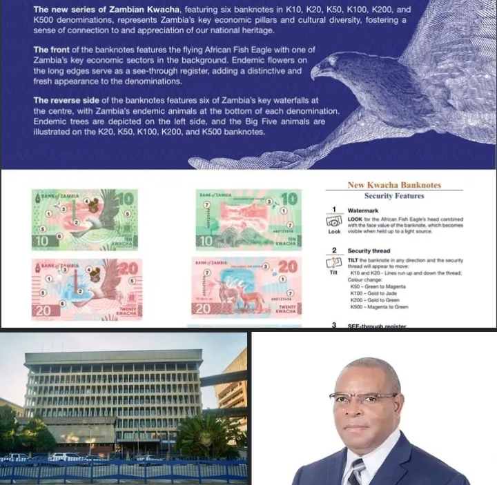 Screenshot_20250212-061741