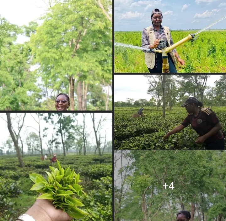 Screenshot_20250308-075600