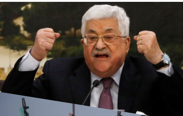 image_2025-04-24_113522510