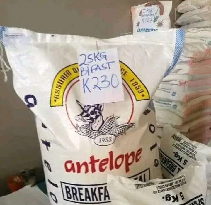 “MEALIE MEAL PRICES DROP: OPPOSITION’S UNHAPPY WITH UPND’s SUCCESS? “