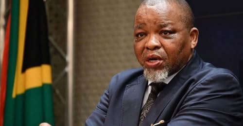 11917265328468883657