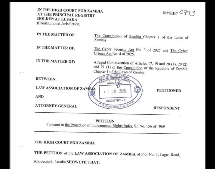 LAZ Petitions Against Cyber laws, They  are Unconstitutional