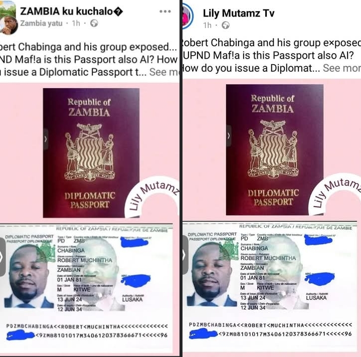 OPPOSITION’S DESPERATE ATTEMPTS TO DISCREDIT UPND GOVERNMENT EXPOSED