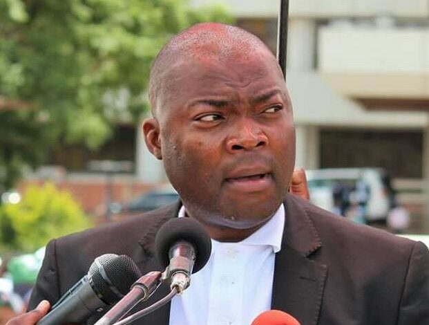 bowman-lusambo-3-621x470-1