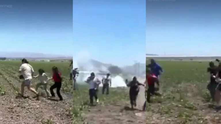 ICE stormed a marijuana farm to arrest immigrants in California and something strange happened