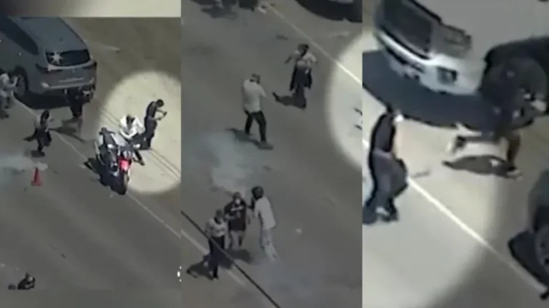 Video of the strange moment protester brandished a gun on ICE agents during raid on Marijuana farm in California