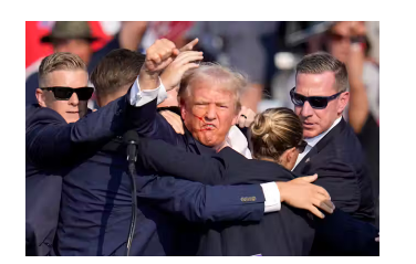 image_2025-07-14_113313542