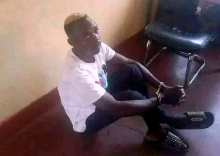 Legal Process to Make Zambia Police Account for Why Me Begins- Amb. Emmanuel Mwamba