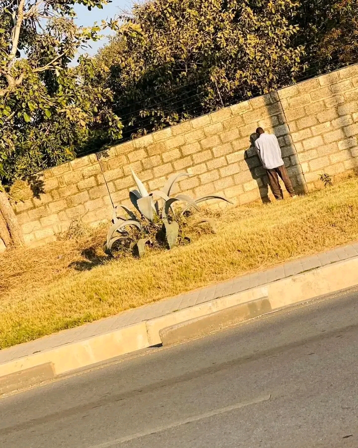 “Use actual toilets, no public Peeing” – LCC
