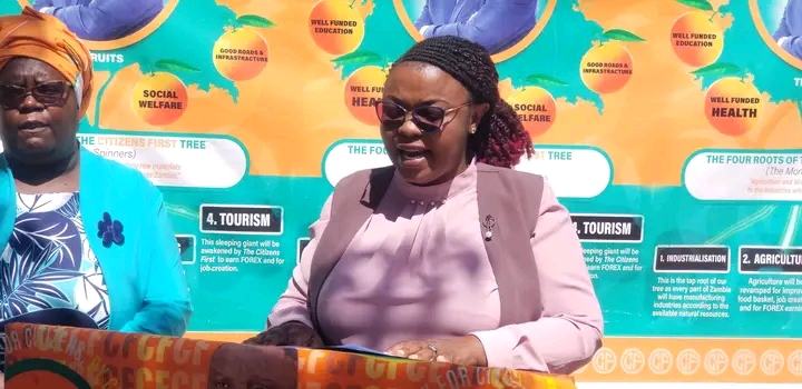 STOP ALL MAIZE EXPORTS UNTIL STRATEGIC NATIONAL RESERVES ARE SECURE  – MUNTHALI