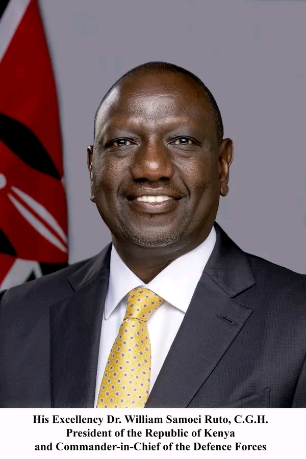 U.S. raises alarm over Ruto govt’s ‘deteriorating’ human rights record