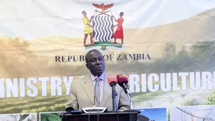 ZAMBIA LAUNCHES FIRST-EVER NATIONAL FOOD BALANCE SHEETS REPORT