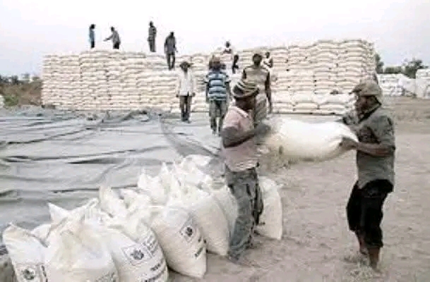 RESOLVE MAIZE PURCHASING CHALLENGES, HH DIRECTS FRA