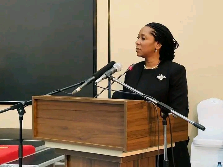 Muchende, Kawana, Milner Named in Corruption Allegations, Yet No Action Taken – TI-Z