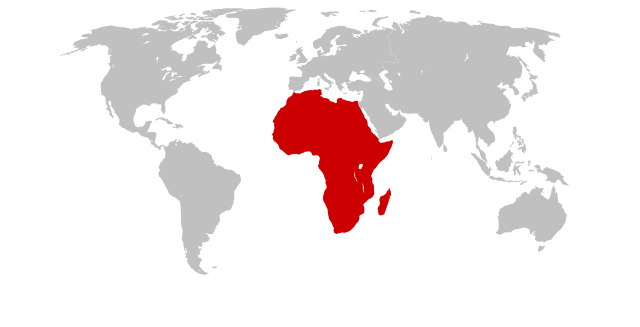 African Union urges adoption of world map showing continent’s true size