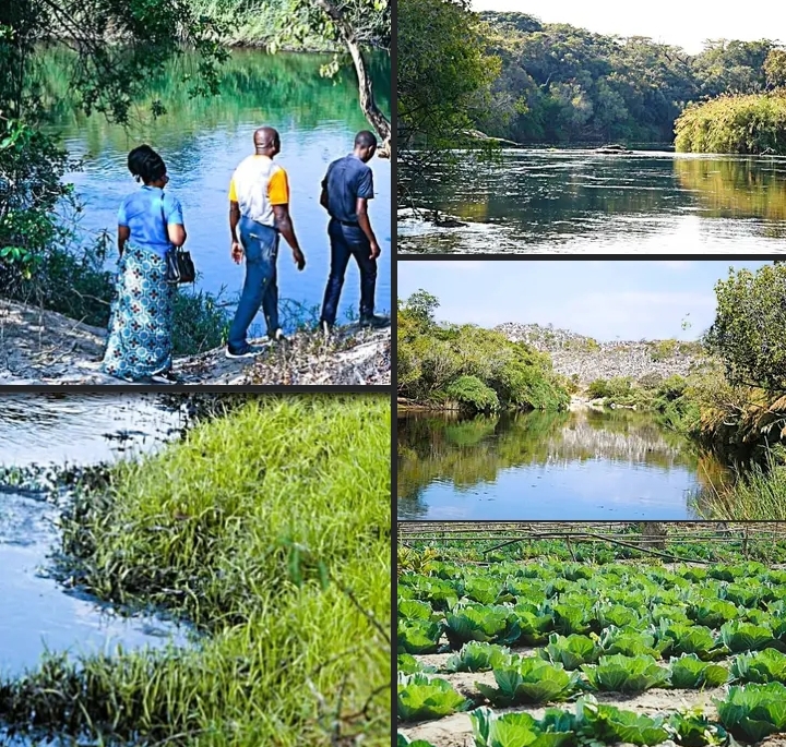 CEJ URGES GOVERNMENT TO RELEASE SINO METAL POLLUTION REPORT AMID COPPERBELT CONTAMINATION CONCERNS