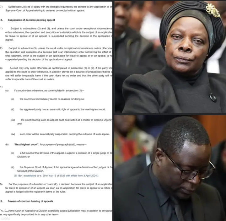 DON’T BE MISLED, THAT APPEAL IS NOTHING, LET THEM JUST SURRENDER THE BODY, THEY WILL FIND US IN LUSAKA – Chilufya Tayali