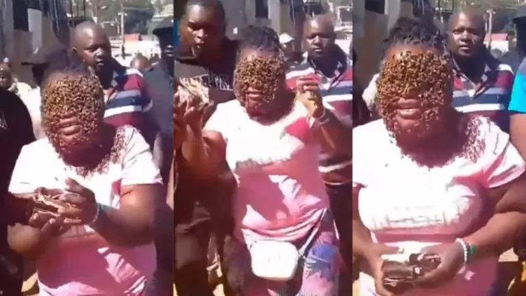 Woman reportedly arrested by bees for stealing from a man she spent a night with