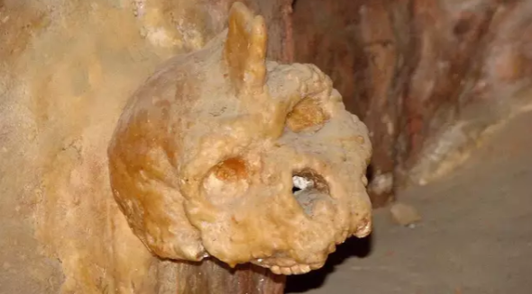 image_2025-08-22_162558754