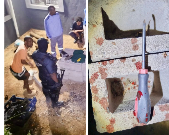 image_2025-08-24_180733680