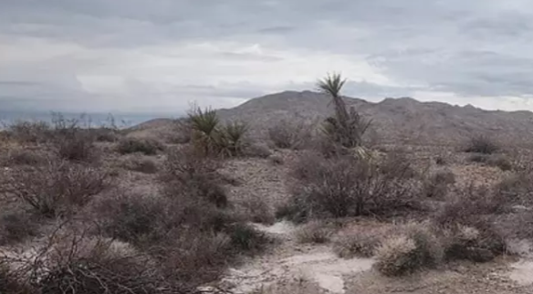 image_2025-08-31_083431968