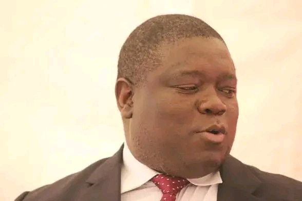 LOADSHEDDING HAS REDUCED ZAMBIA TO A VILLAGE – YAMFWA