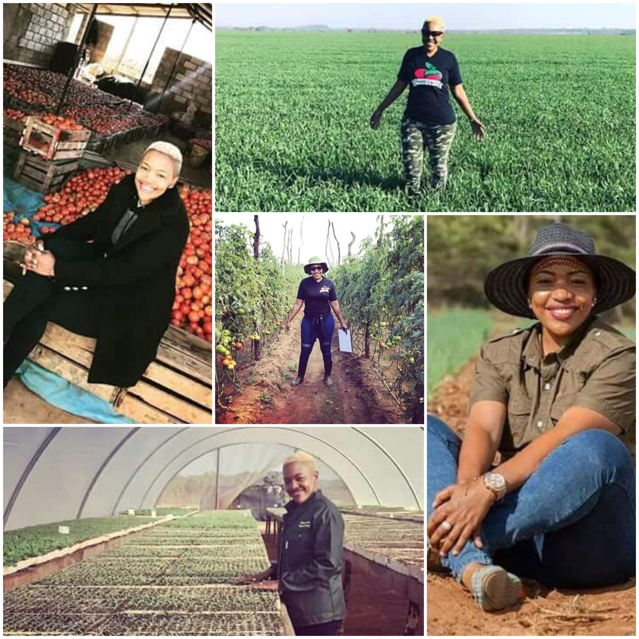 EmtPNGwXUAEJbNz.jpg_large (1)