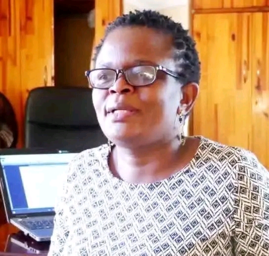 ACTIVIST WELCOMES APPOINTMENT OF TECHNICAL COMMITTEE ON CONSTITUTION REVIEW