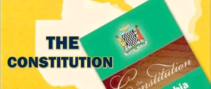 LAWYER JONAS ZIMBA QUESTIONS TIMING OF BILL 7 COMMITTEE APPOINTMENT