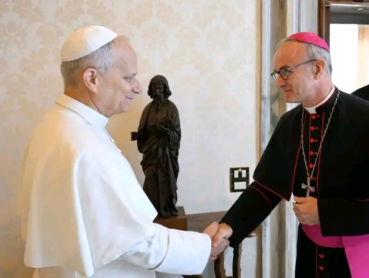 CATHOLIC CHURCH IS FAILING ABUSE VICTIMS, VATICAN PANEL SAYS