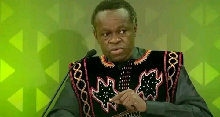 PLO Lumumba Demands African Union Action Over Cameroon Election Crisis