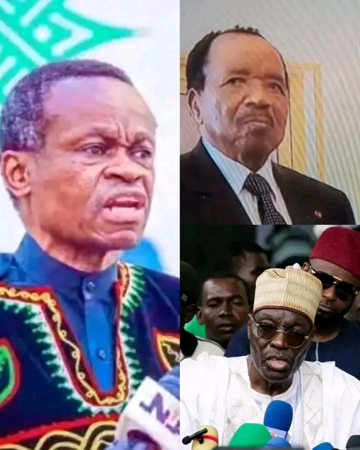 Prof. PLO Lumumba Speaks Out on Cameroon’s 2025 Elections