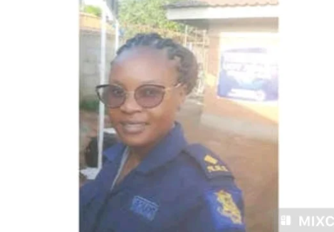 image_2025-10-15_033936641