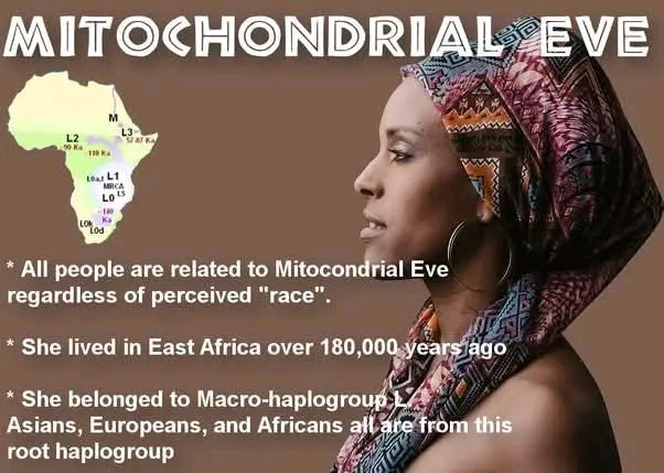 DID ALL THESE HUMANS NON BLACK ORIGINATE IN AFRIKA OR IS THAT BASED ON AFROCENTRIC PHILOSOPHY ?