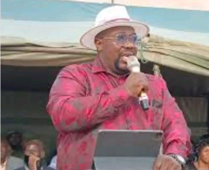 RECENT INCIDENTS CAN’T INDICATE THAT UPND IS A VIOLENT PARTY – BWEENGWA MP