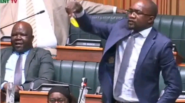 SPEAKER SUSPENDS KAPYANGA FOR CALLING UPND MEMBERS HOOLIGANS