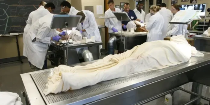 Medical-Students-Cadavers-AP-Martha-Irvine-Statnew